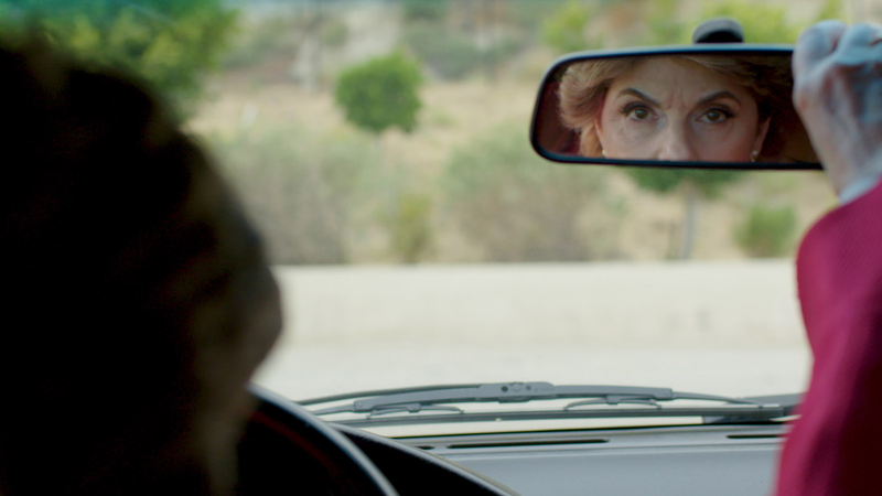 Image from Seeing Allred via Sundance